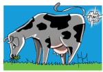 col522flatulencia-de-vacas-ajudam-no-aquecimento-global